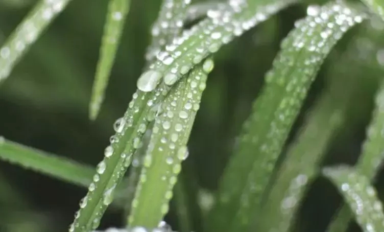 風雨無阻，印象裝(zhuāng)飾迎來了第77個印象愛心日！
